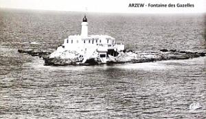 Arzew 323